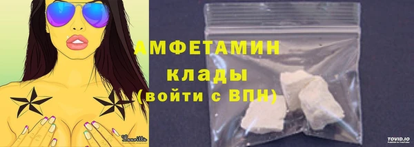 СК Алексин