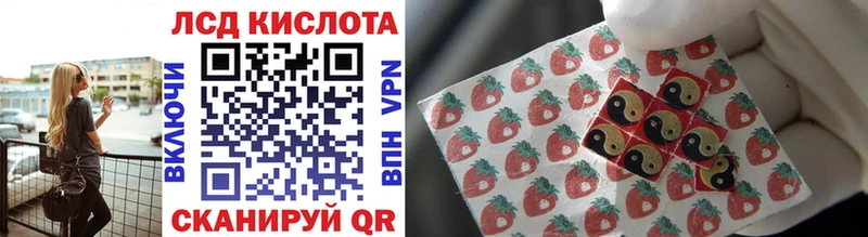 закладки  Динская  Марки N-bome 1,8мг 