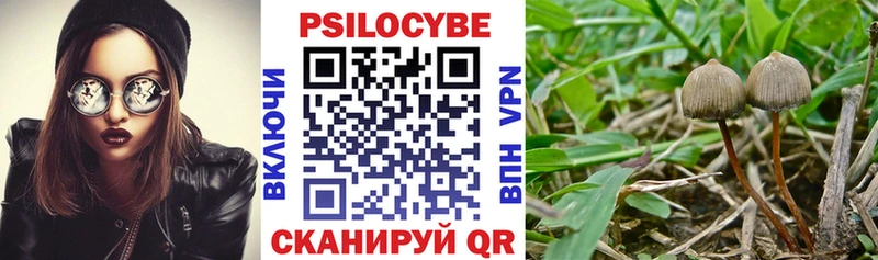 где купить наркотик  Динская  Псилоцибиновые грибы MAGIC MUSHROOMS 